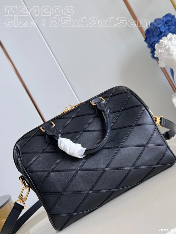 25 Vuitton SPEEDY Louis 0324